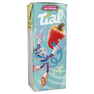 Suco Tial 200Ml Caju